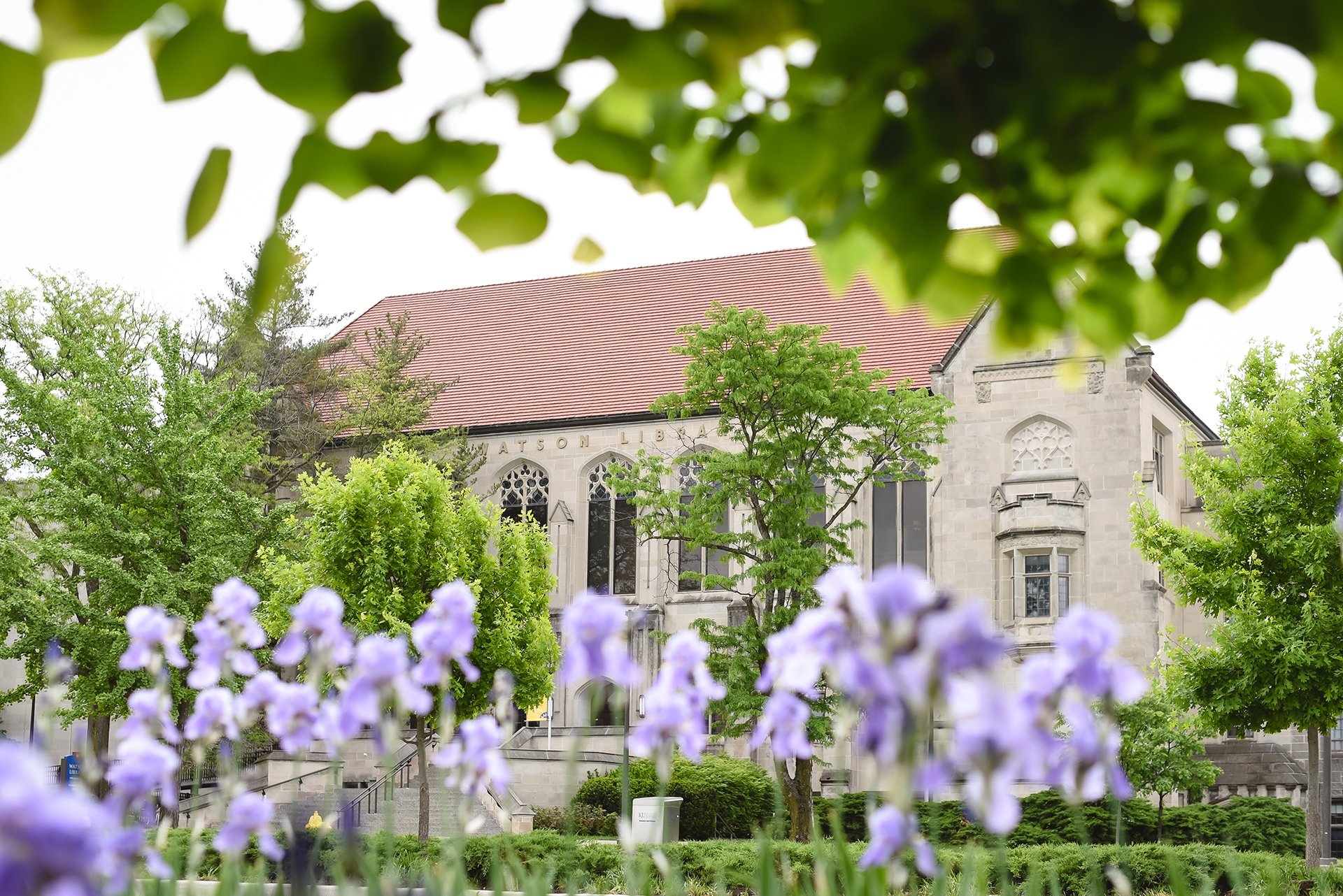 Watson Library in the Spring